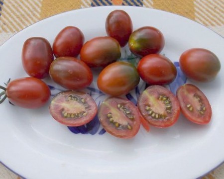 Grape Mini Kumato (GRV)